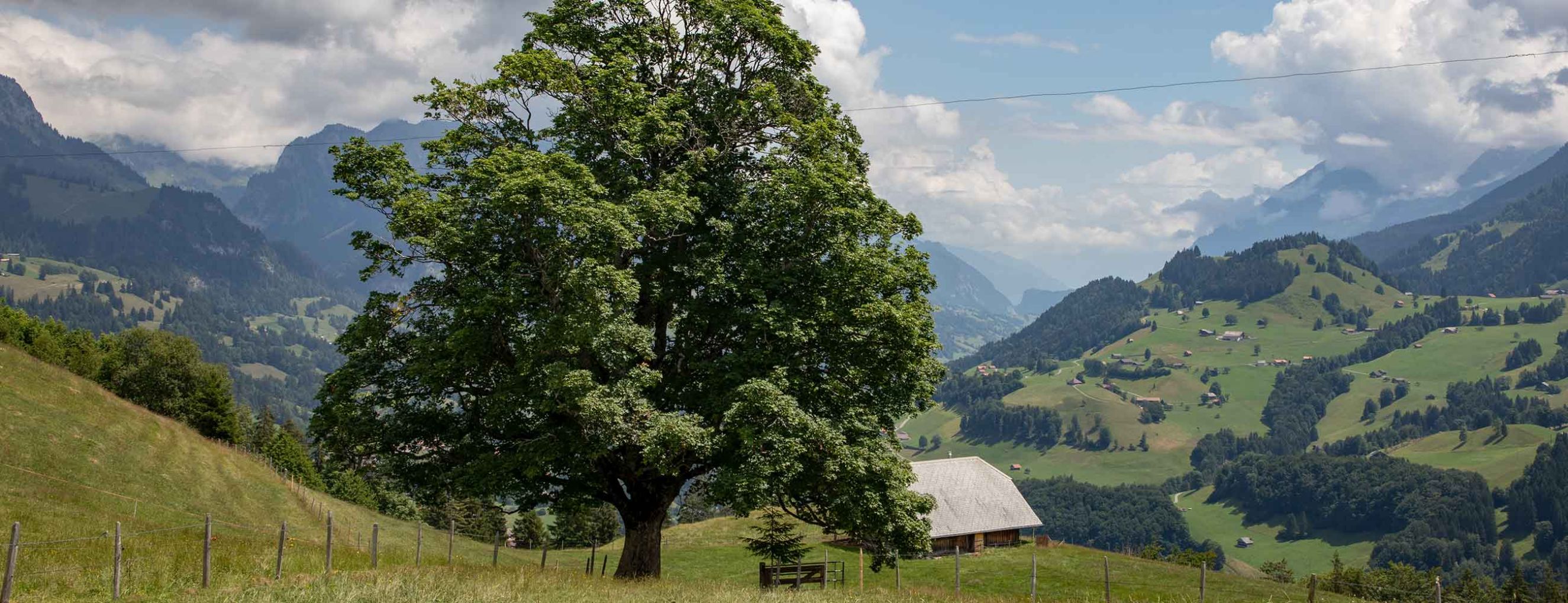 Brandhubel Lenk
