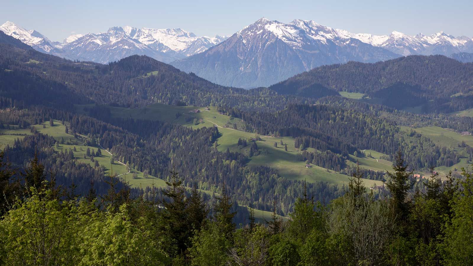 Honegg mit Chnübeli