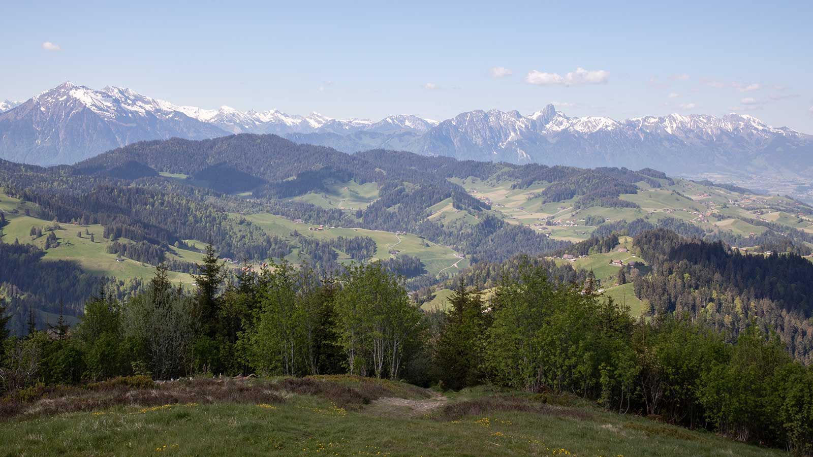 Honegg mit Chnübeli