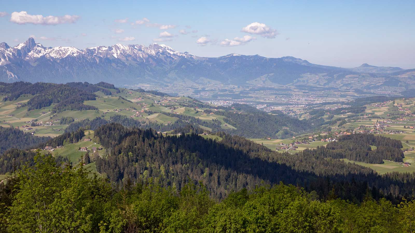 Honegg mit Chnübeli