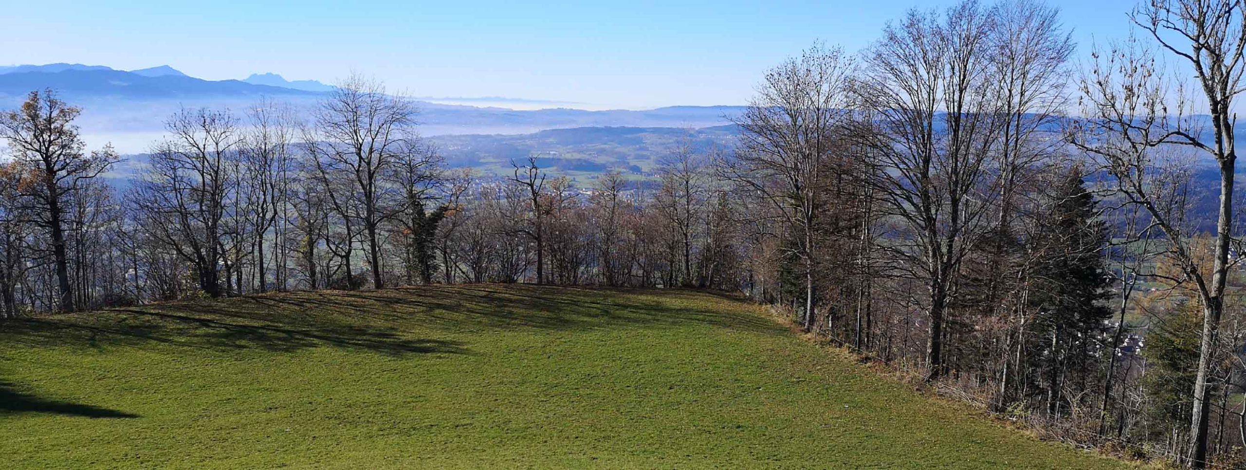 Bachtel / Orn