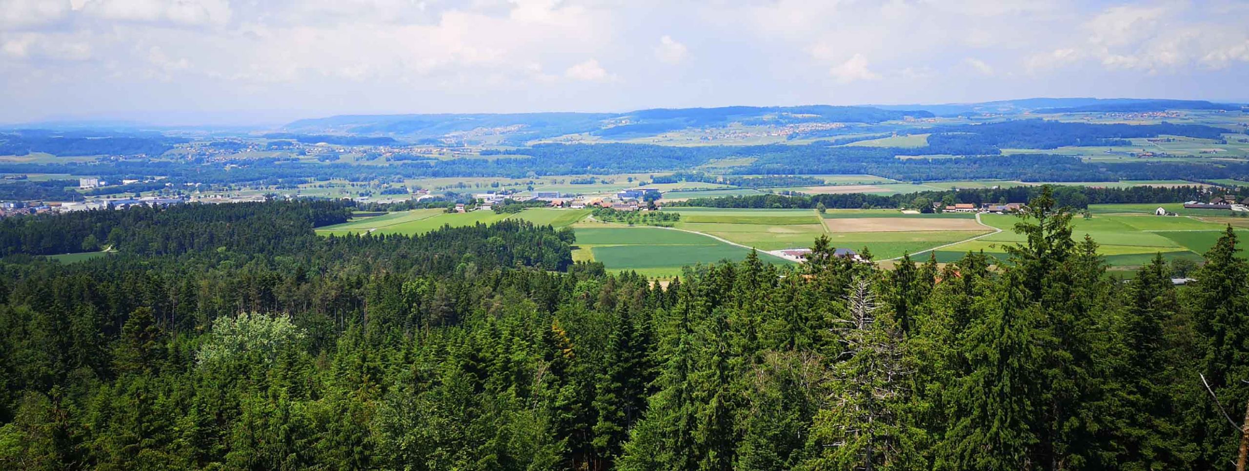 Bachtel / Orn